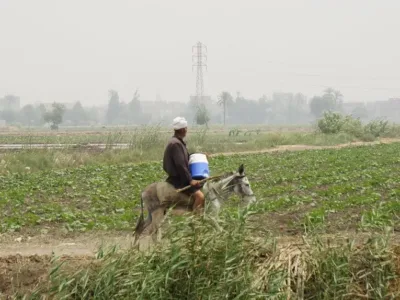 countryside Egypt