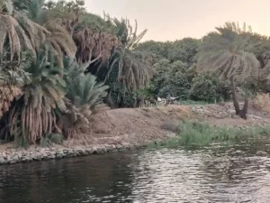 countryside egypt