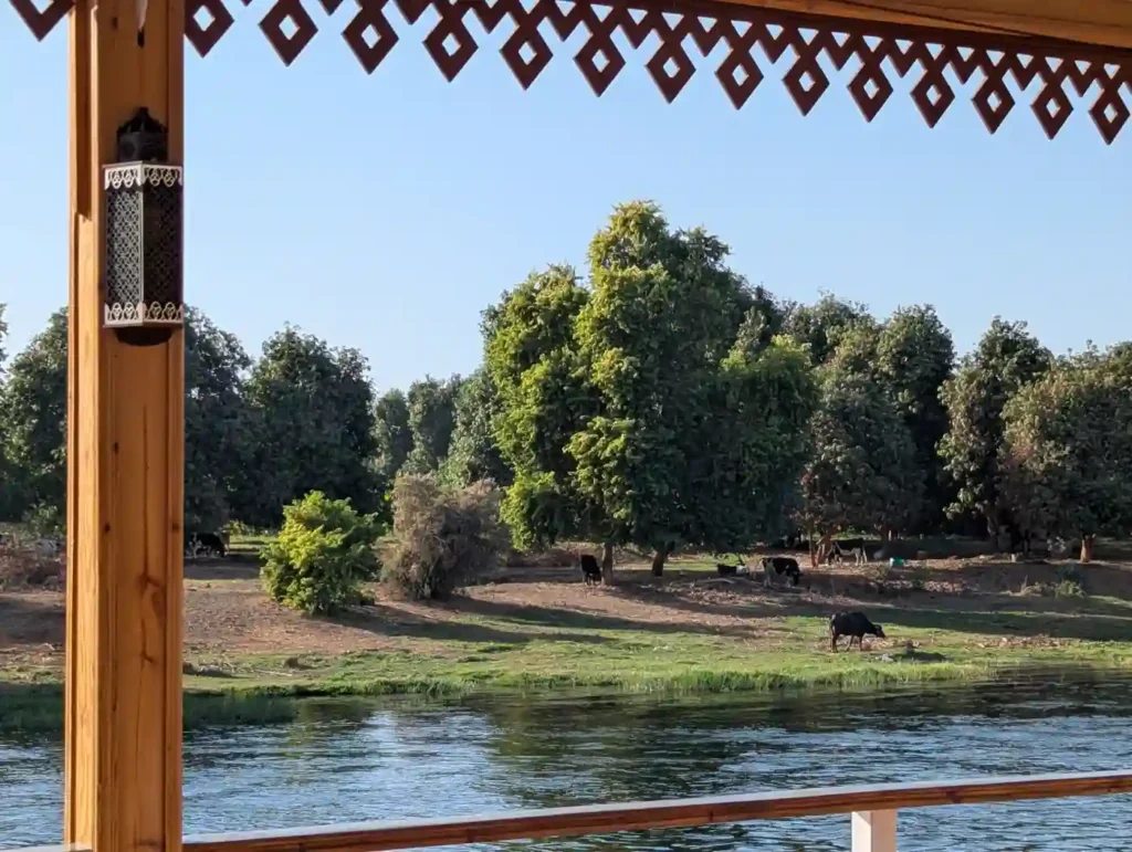 Luxury-Cruises-for-Singles