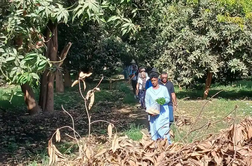 egyptian-farms-experience