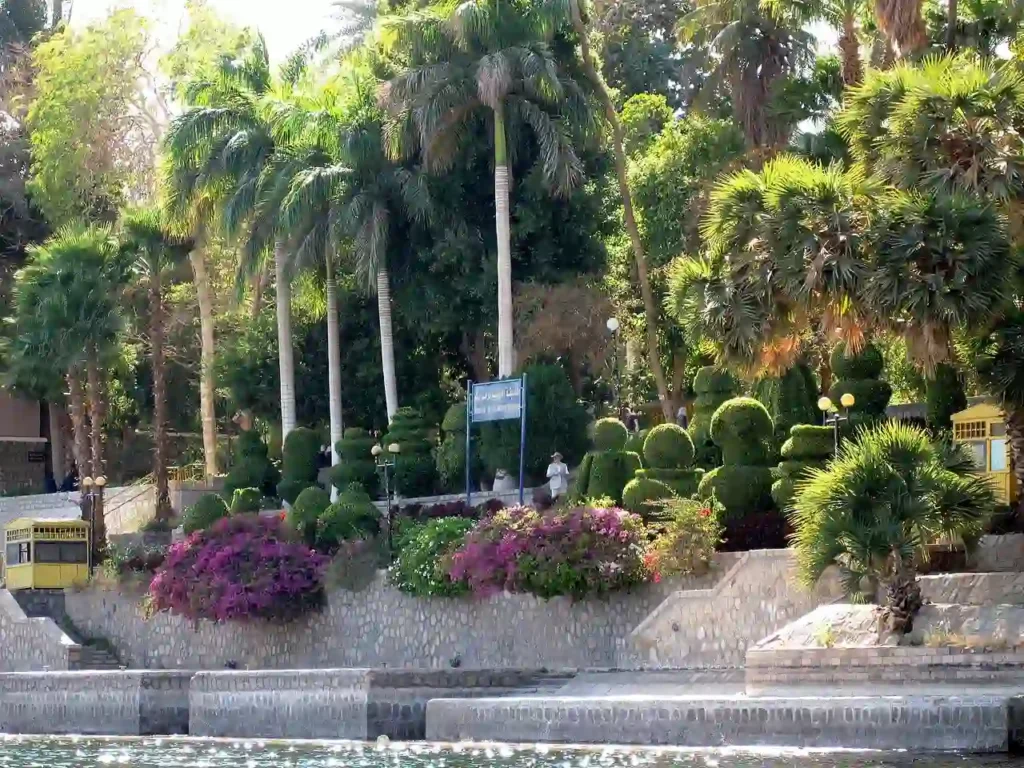 Things to Do in Aswan, Egypt: Your Complete Guide to Egypt's Most Peaceful Nile City Aswan_Botanical_Garden