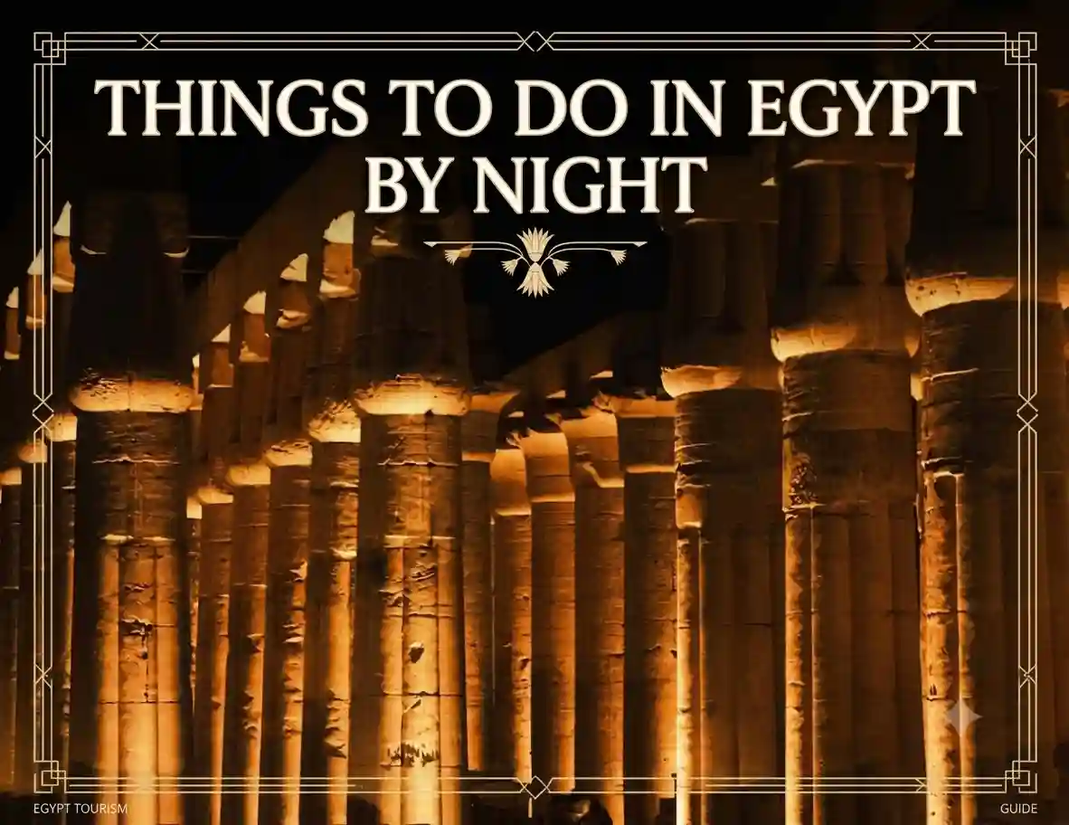Things to do in egypt by night Things to do in egypt by night