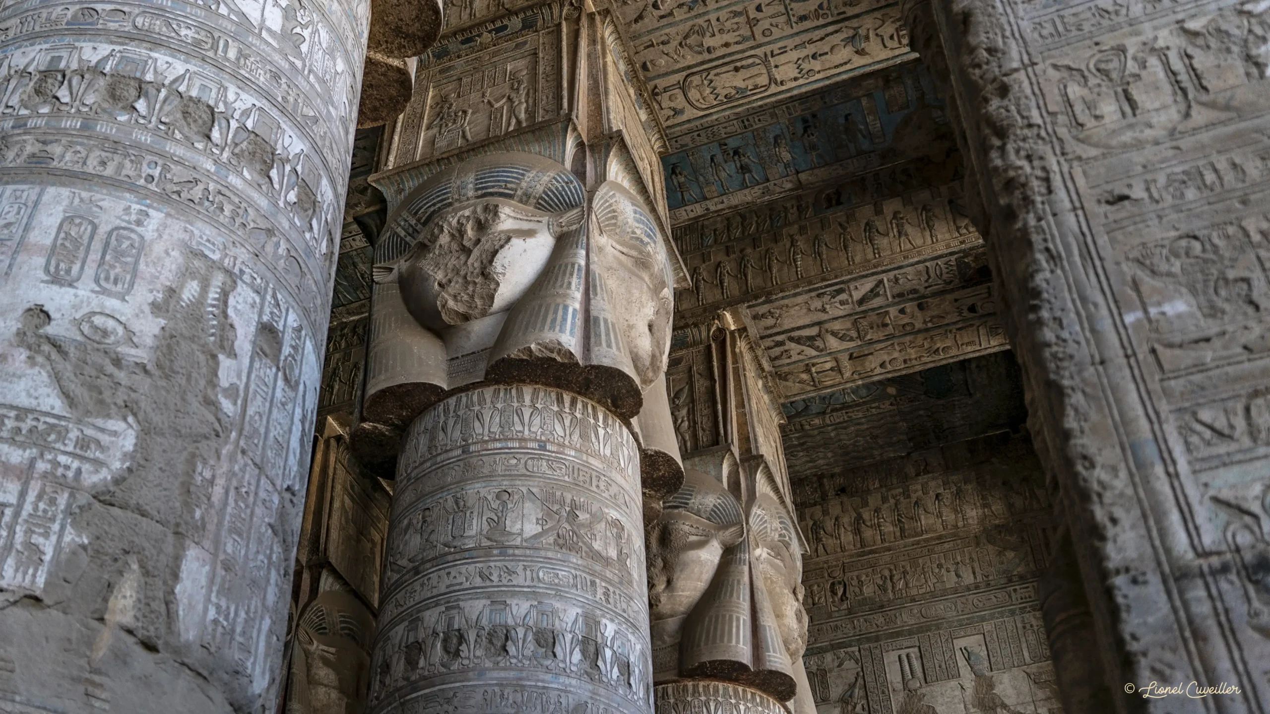 Cabine sur l'Elegant Scape, votre maison pour le voyage de 7 jours en Égypte.