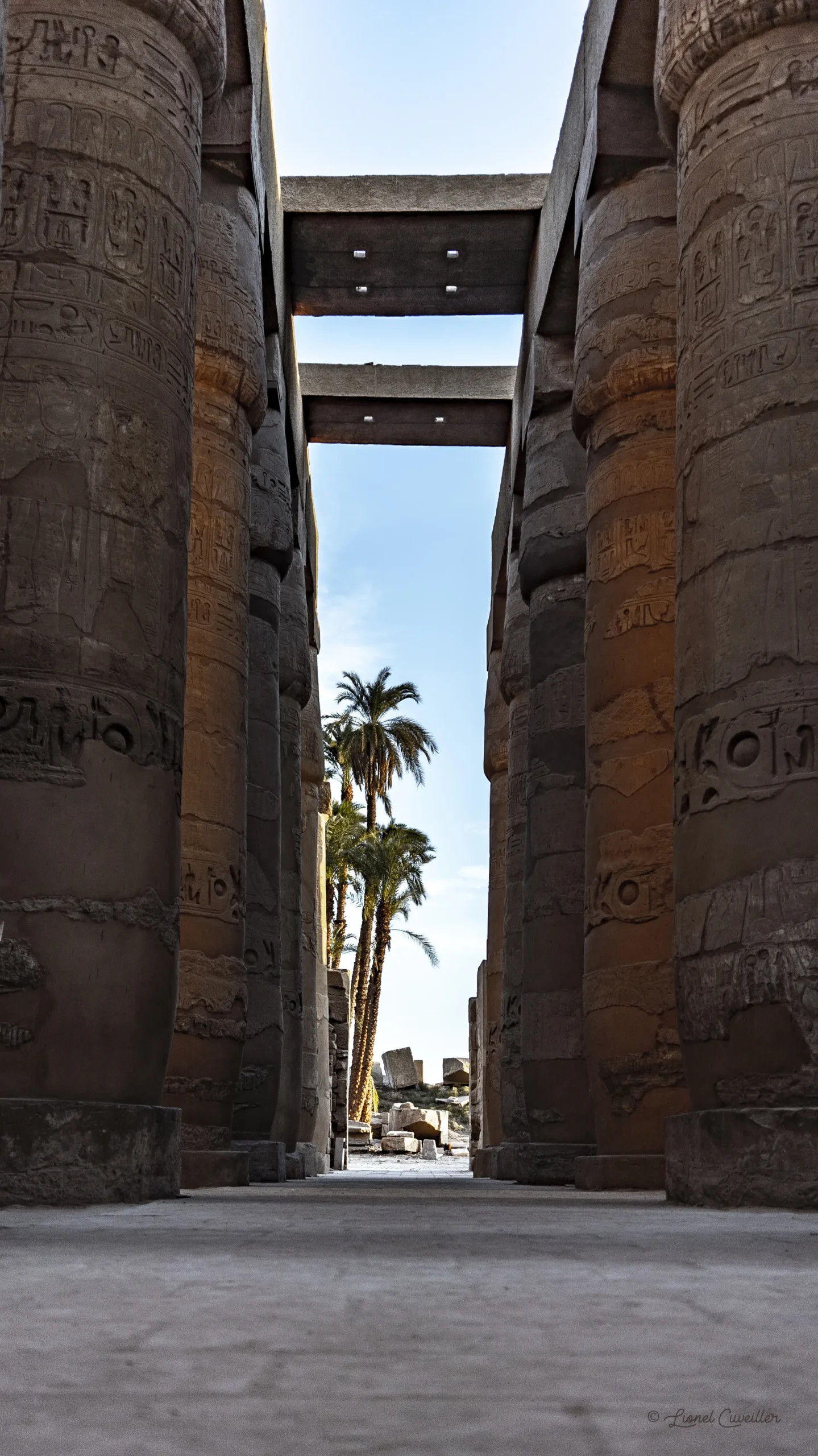 Visite du marché aux chameaux de Daraw, une expérience unique sur votre itinéraire de 7 jours en Égypte.