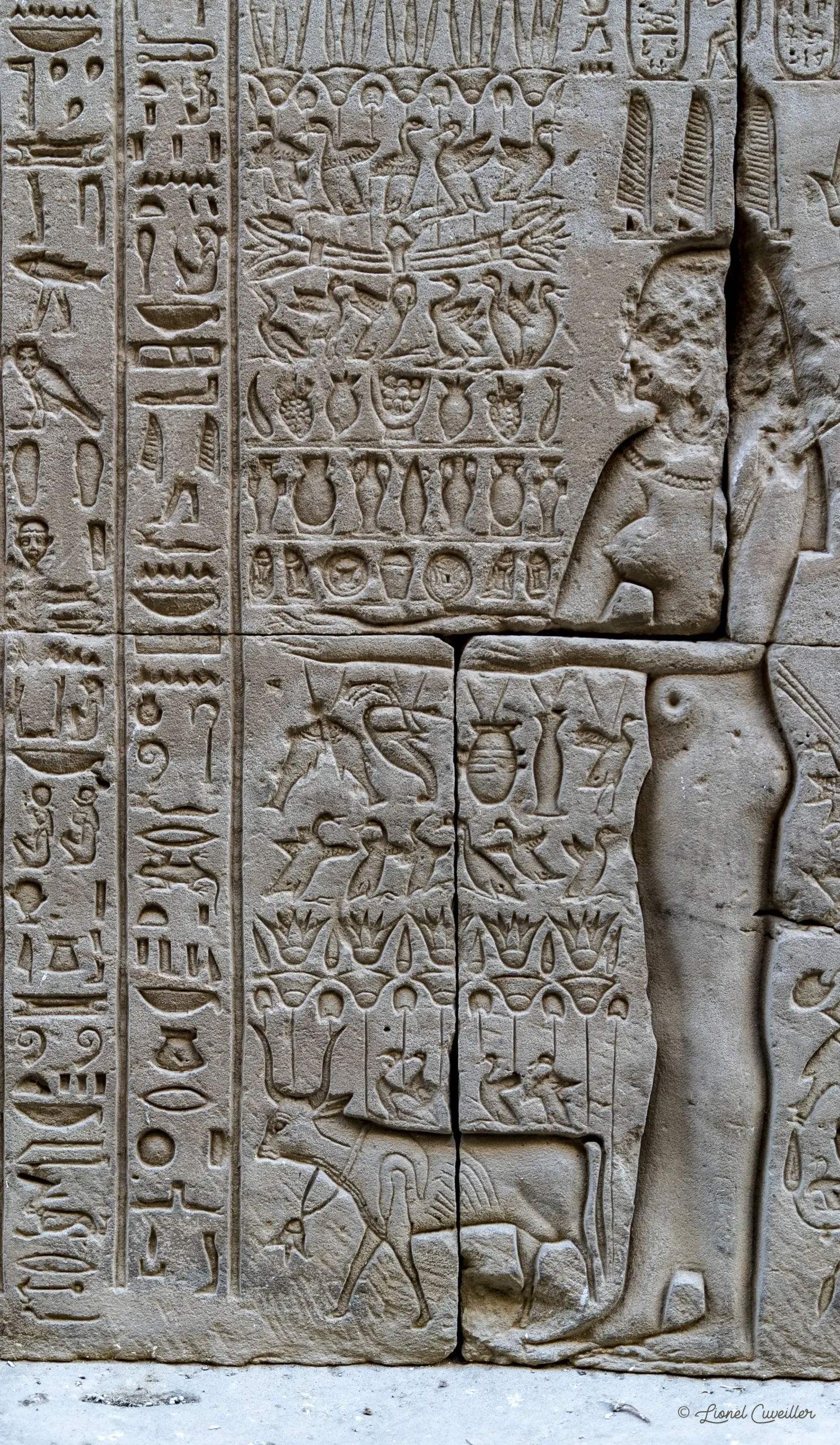Visite du marché aux chameaux de Daraw, une expérience unique de votre itinéraire de 7 jours en Égypte.