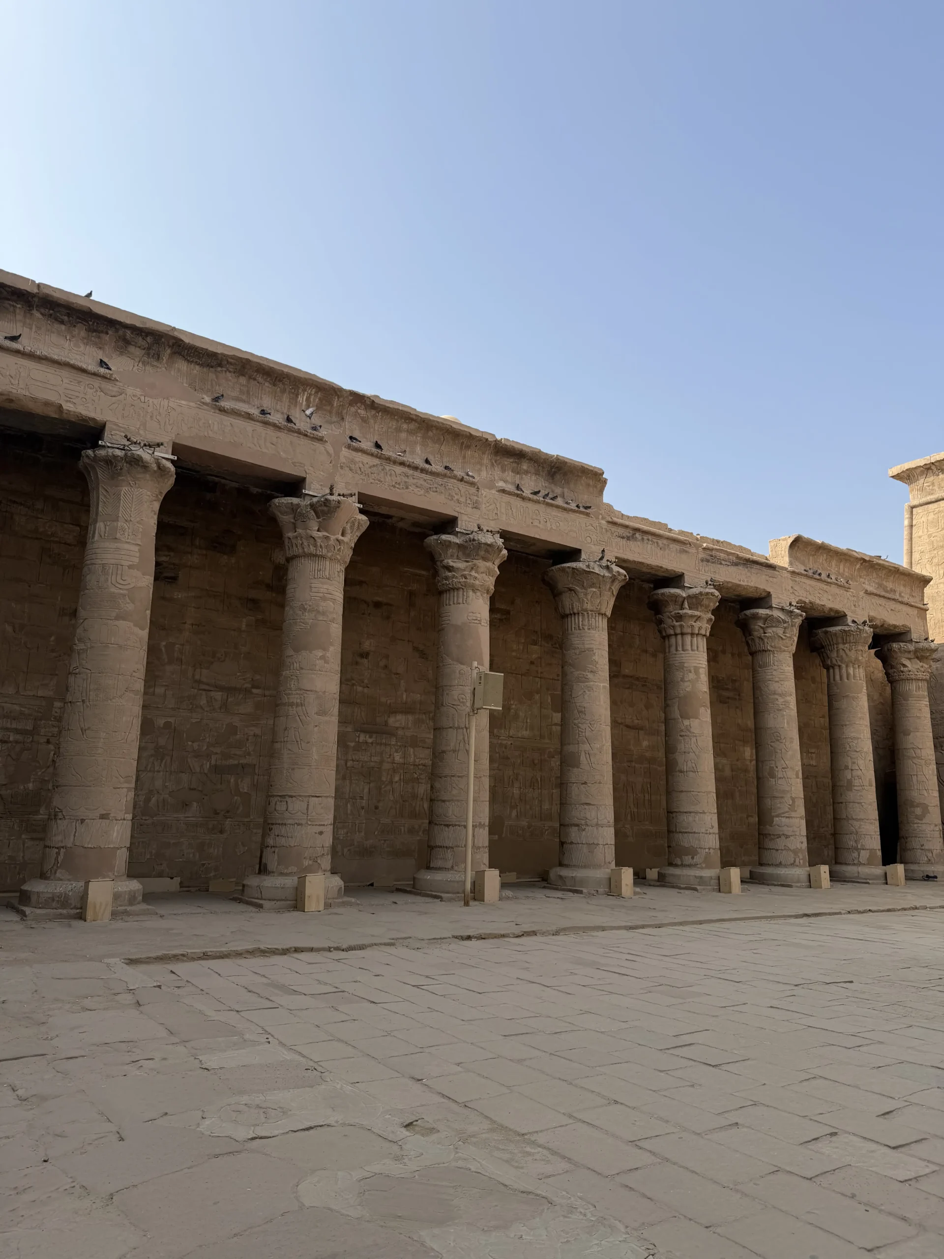 Temple de Kom Ombo - Jour 6