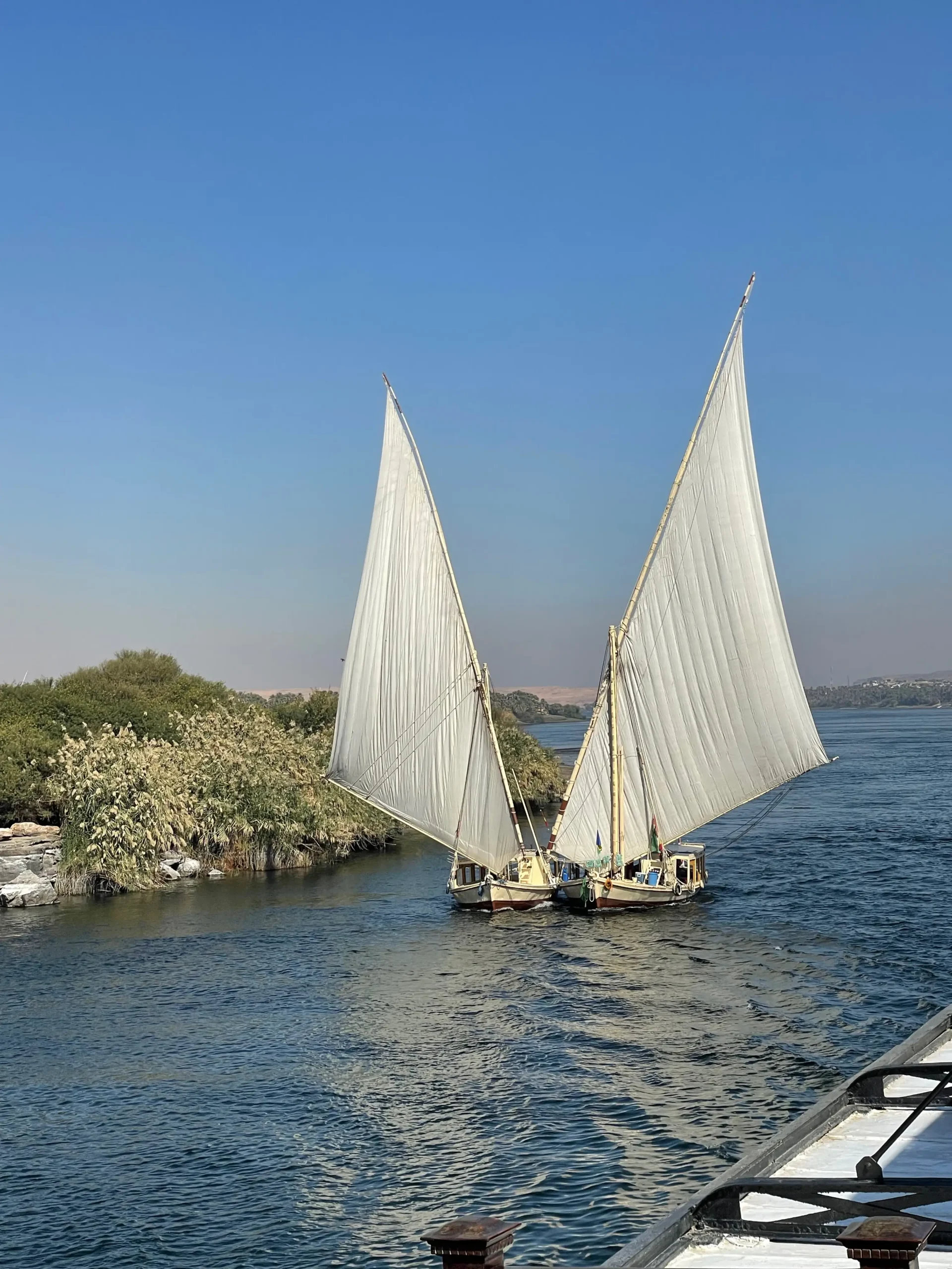 Dahabieh traditionnelle toutes voiles dehors sur le Nil entre Louxor et Assouan